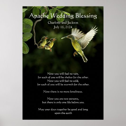 Apache Wedding Blessing Hummingbird feed Baby's Poster (Voorkant)