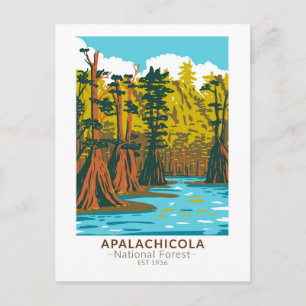Apalachicola National Forest Baldcypress Tree Briefkaart