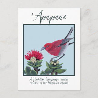Apapane & Lehua Blossom Hawaii Nature Illustration Briefkaart