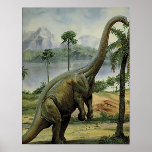 Apatosaurus (Brontosaurus) Eatafbeelding Poster (Voorkant)