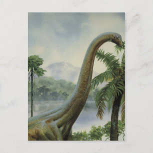 Apatosaurus (Brontosaurus) Voorbeeld Briefkaart