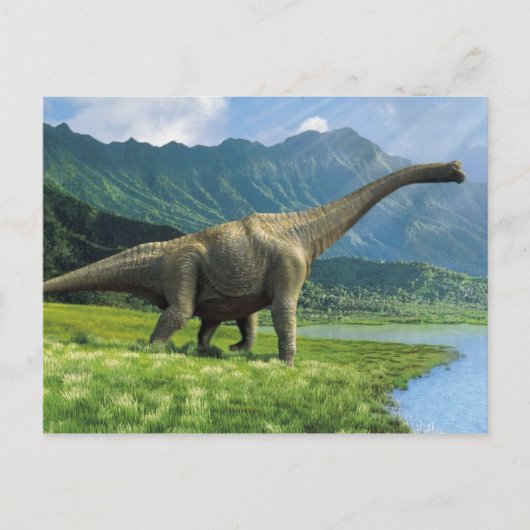 Apatosaurus op het Briefkaart Brontosaurus (Voorkant)