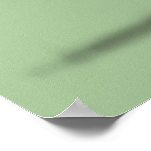 Apatosaurus Poster (Hoek)