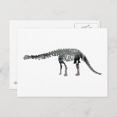 apatosaurus skelet briefkaart (Voorkant / Achterkant)