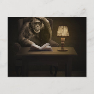 Ape Chimpanzee Monkey Briefkaart