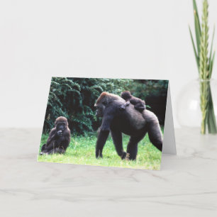 APE FAMILY ZEGT HAPPY 30th BIRTHDAY Kaart