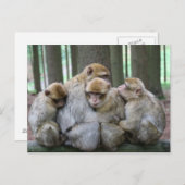 Ape Group Hug Briefkaart (Voorkant / Achterkant)
