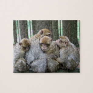 Ape Group Hug Legpuzzel