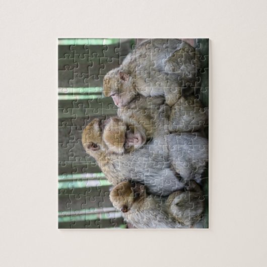 Ape Group Hug Legpuzzel (Verticaal)