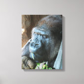 Ape hood ~ Japanse Gorilla Eating Canvas Afdruk (Voorkant)