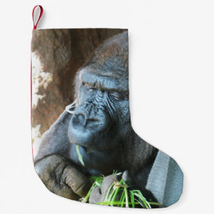 Ape hood ~ Japanse Gorilla Eating Kleine Kerstsok