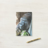 Ape hood ~ Japanse Gorilla Eating Post-it® Notes (Op bureau)