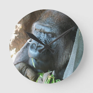 Ape hood ~ Japanse Gorilla Eating Ronde Klok