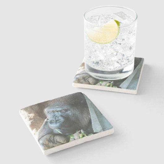 Ape hood ~ Japanse Gorilla Eating Stenen Onderzetter (Zijkant)