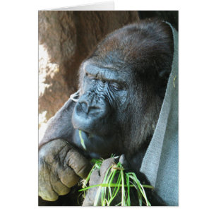 Ape Hotte ~ Japonais Gorilla Manger Carte de voeux