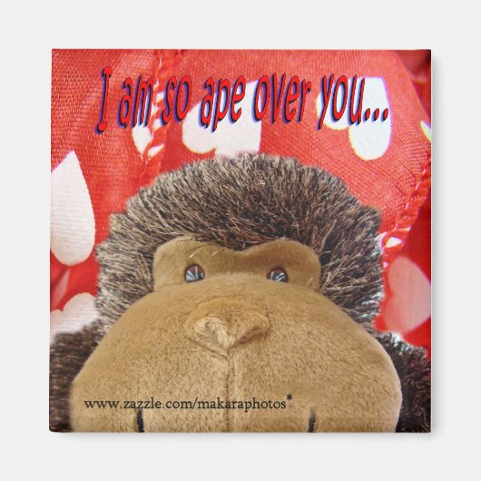 Ape over je magneet (Voorkant)