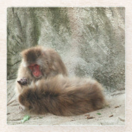 Apen Glazen Onderzetter