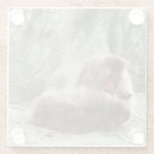 Apen Glazen Onderzetter (Achterkant)