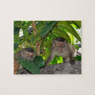 apen in het regenwoud van Borneo Legpuzzel