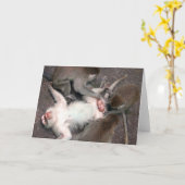 apen kaart (Gele Bloem)