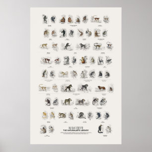Apen - Naturalist's Library Poster