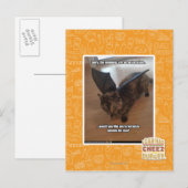 Apen op vakantie briefkaart (Voorkant / Achterkant)