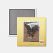 Apen op vakantie magneet (Voorkant / Achterkant)