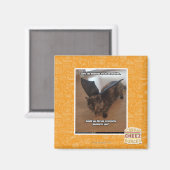 Apen op vakantie magneet (Voorkant / Achterkant)