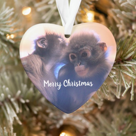 apen ornament (Boom)