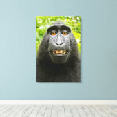 Apen Selfie Canvas Afdruk (Insitu (Houten vloer))