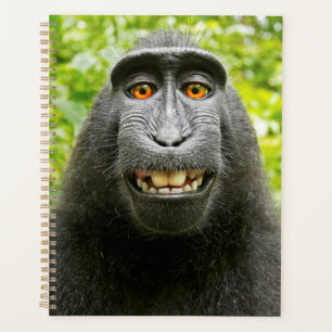 Apen Selfie Planner