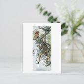 Apen - spin & tamarin briefkaart (Staand voorkant)