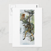 Apen - spin & tamarin briefkaart (Voorkant / Achterkant)