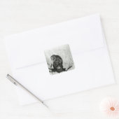 apen vierkante sticker (Envelop)