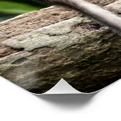 Apenbaby's in Natuur Perfect Poster (Hoek)