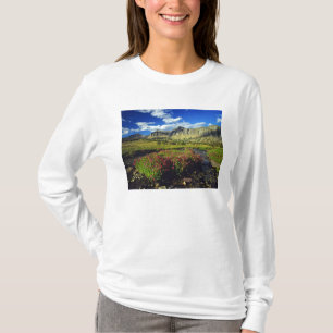 Apenbloemen bij Logan Pass in Glacier National T-shirt
