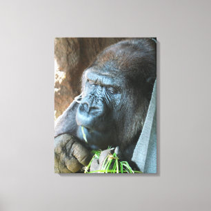 Apenkap ~ Japanse Gorilla Eet Canvas Afdruk