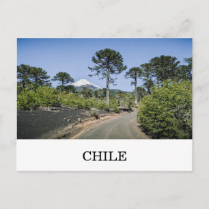 Apenpuzzelbomen bij vulkaan in Chili Briefkaart