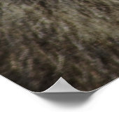 Apes liefde voor altijd poster (Hoek)