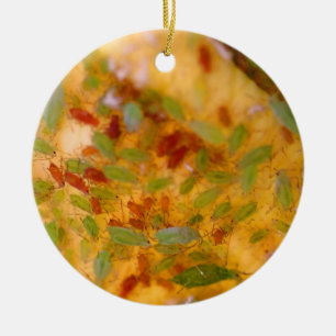 Aphids-besmetting Keramisch Ornament