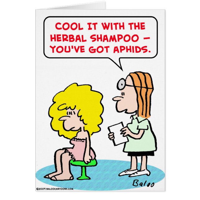 aphis de fines herbes de shampooing (Devant)