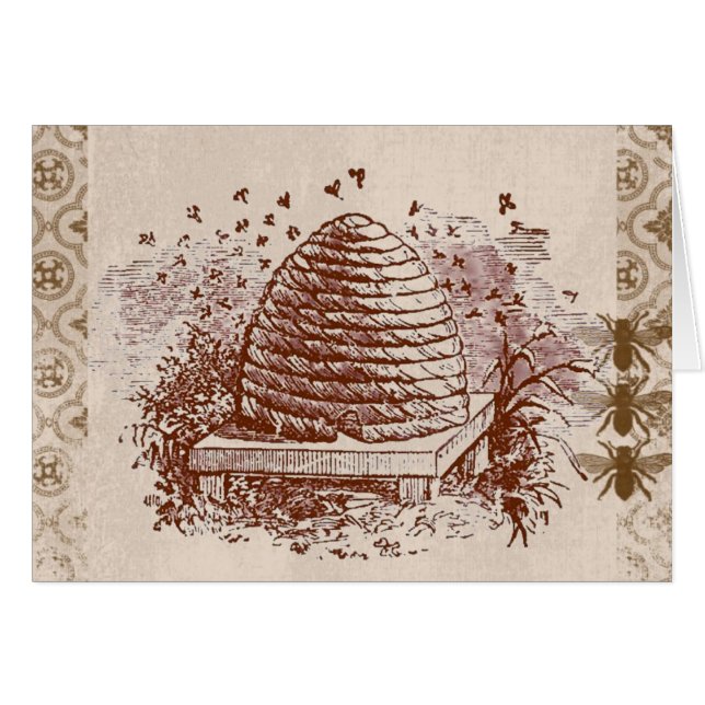 Apiculture vintage (Devant horizontal)
