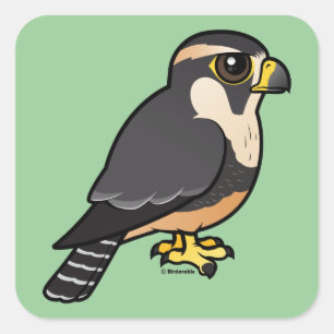 Aplomado Falcon Vierkante Sticker