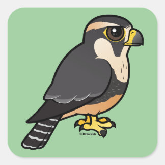 Aplomado Falcon Vierkante Sticker