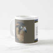 Aplomado Koffiemok (Voorkant links)