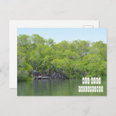 Apo Reef of Mindoro Filipijnen Briefkaart (Voorkant / Achterkant)