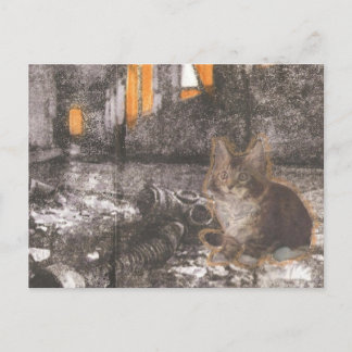 Apocalypse Kat Briefkaart