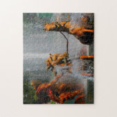 Apollo Fountain Paris. Legpuzzel (Verticaal)