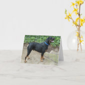 Apollo la carte de voeux Rottweiler (Fleur jaune)