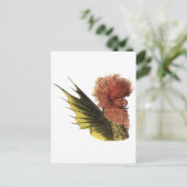 Apollyon Briefkaart (Staand voorkant)